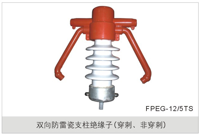 防雷瓷支柱绝缘子（双向）